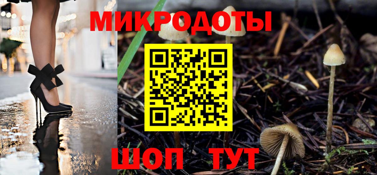 Конаково  Псилоцибиновые грибы Psilocybine cubensis  Вход с VPN  Галлюциногенные грибы прущие грибы 